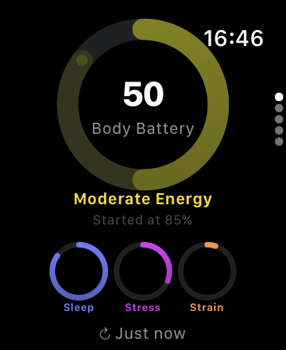 Today hub with Body Battery and mini gauges on Apple Watch